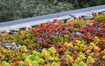 the cost of Coalmoor green roof installation