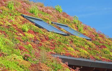 Coalmoor living roof systems
